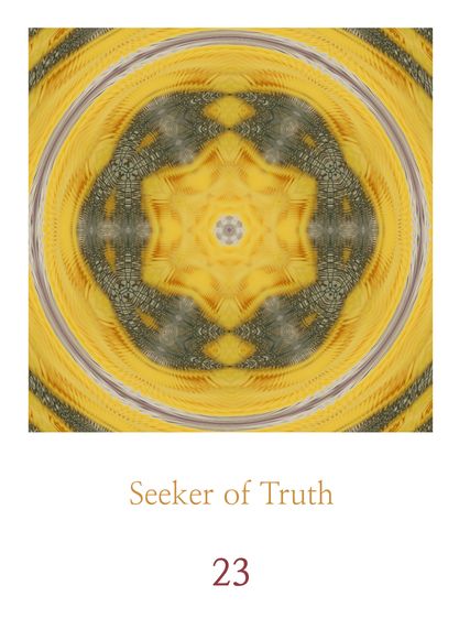 Seeker of truth
